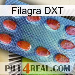 Filagra DXT 06